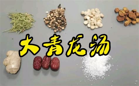 大青龙汤 医砭|醫砭 » 常用方劑 » 大青龍湯